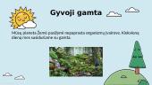 Gyvosios gamtos išsaugojimas 2 puslapis
