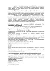 Statybinių medžiagų kontrolinis 4 puslapis