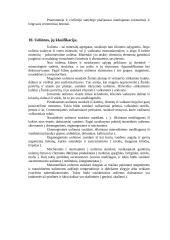 Statybinių medžiagų kontrolinis 6 puslapis