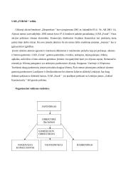 Statybos administravimas 3 puslapis