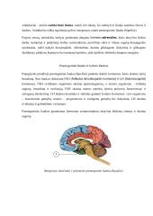 Neurobiologijos teorija 4 puslapis