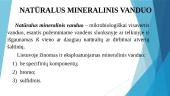 ﻿Mineralinio vandens išgavimo vietos Lietuvoje 2 puslapis