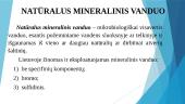 Mineralinio vandens išgavimo vietos Lietuvoje 2 puslapis
