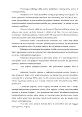 Dabartinis Irako ir jo valdžios institucijų teisinis statusas 11 puslapis