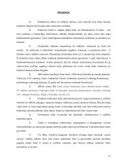 Dabartinis Irako ir jo valdžios institucijų teisinis statusas 13 puslapis