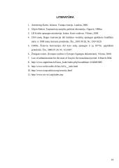 Dabartinis Irako ir jo valdžios institucijų teisinis statusas 14 puslapis