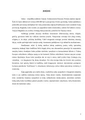 Dabartinis Irako ir jo valdžios institucijų teisinis statusas 3 puslapis