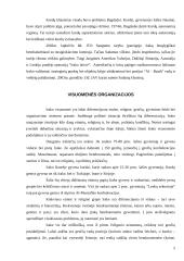Dabartinis Irako ir jo valdžios institucijų teisinis statusas 5 puslapis