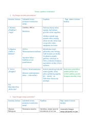 Lietuvių egzamino pasiruošimas