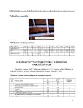 Pastato vandentiekio sistemos 16 puslapis