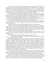 Pastato vandentiekio sistemos 19 puslapis