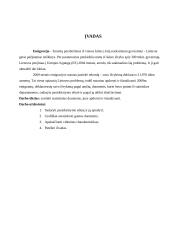 Statistinių duomenų sisteminimas ir analizė 4 puslapis