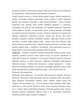 Stiklas. Stiklų gamyba 11 puslapis