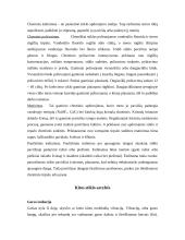 Stiklas. Stiklų gamyba 13 puslapis