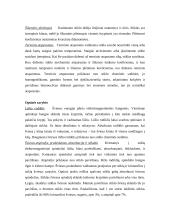 Stiklas. Stiklų gamyba 6 puslapis