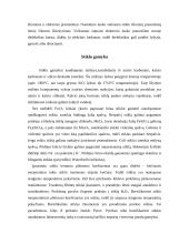 Stiklas. Stiklų gamyba 8 puslapis