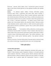 Stiklas. Stiklų gamyba 10 puslapis