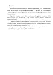 Strateginio valdymo esmė ir raida 2 puslapis