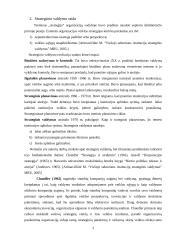 Strateginio valdymo esmė ir raida 3 puslapis