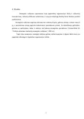 Strateginio valdymo esmė ir raida 7 puslapis