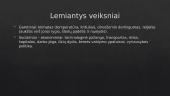 ﻿Pasaulio ūkis geografijoje: žemės ūkis 2 puslapis