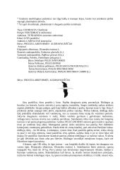 Stuburinių zoologija - paukščiai 4 puslapis