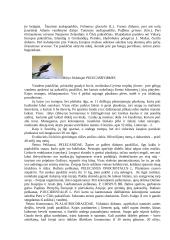 Stuburinių zoologija - paukščiai 5 puslapis