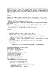 Stuburinių zoologija - paukščiai 6 puslapis