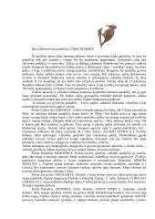 Stuburinių zoologija - paukščiai 7 puslapis