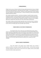 "Sodo paslaptys" verslo planas 2 puslapis