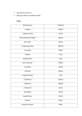"Sodo paslaptys" verslo planas 5 puslapis