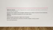 Diplomatic immunity - its scope and the rules of full diplomatic immunity  3 puslapis