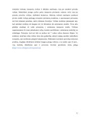 Mokinių vežimai. Keleivių vežimo technologijos 10 puslapis