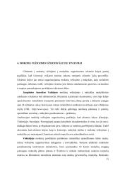 Mokinių vežimai. Keleivių vežimo technologijos 14 puslapis