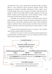 Mokinių vežimai. Keleivių vežimo technologijos 18 puslapis