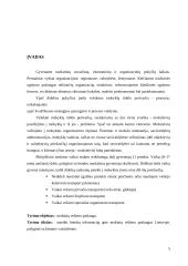 Mokinių vežimai. Keleivių vežimo technologijos 4 puslapis