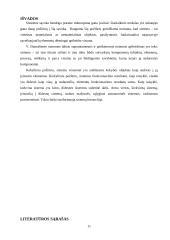 Supersistemos ir procesai jose 10 puslapis