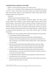 Supersistemos ir procesai jose 5 puslapis