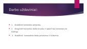 Komanda bei komandinio darbo privalumai ir trūkumai 2 puslapis