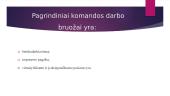 Komanda bei komandinio darbo privalumai ir trūkumai 5 puslapis