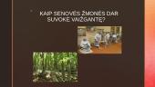 Vaižgantė - lietuvių linų dievybė 5 puslapis