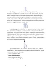 Šaltas vandentiekis 11 puslapis