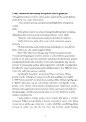 Šaltas vandentiekis 4 puslapis