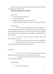 Šiaulių miesto savivaldybės nakvynės namai 4 puslapis