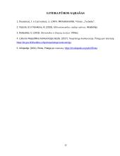 Konkurencija ir jos vaidmuo rinkos ūkyje 12 puslapis