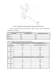 Šilumos tiekimo sistemos 3 puslapis
