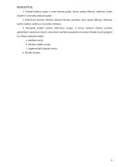 Šilumos tiekimo sistemos 5 puslapis