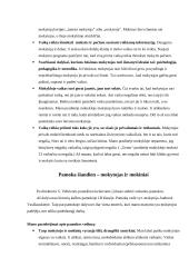 Šių dienų pradinės mokyklos stebėjimas ir analizė 4 puslapis