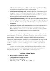 Šių dienų pradinės mokyklos stebėjimas ir analizė 5 puslapis