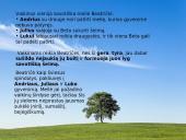 Juozas Grušas ir Meilė, džiazas ir velnias 12 puslapis